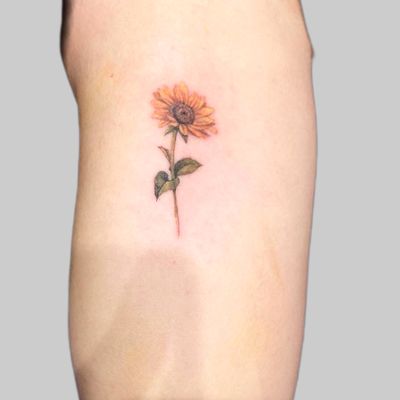 #microrealistic #sunflower done for a lovely customer. :) . . . #floral #botanical #sunflowertattoo #flower #realistic #realism #colour realism