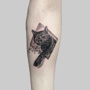 #microrealistic #cat #portrait in honour of Kitus . Rest in peace x .....#blackandgrey #realism #cat #animal