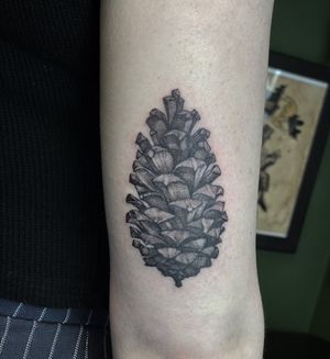 Pinecone Neo Traditional Tattoo done at Hammersmith Tattoo London