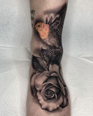 Realism Robin Bird and Rose Tattoo done at Hammersmith Tattoo London