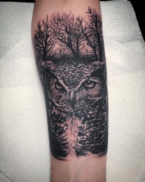 Owl in the Forest Black & Grey Realism Tattoo done at Hammersmith Tattoo London