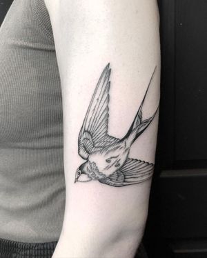 Fine Line Bird in Flight Tattoo done at Hammersmith Tattoo London