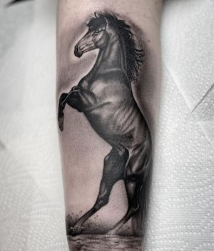 Black Horse Black & Grey Realism Tattoo done at Hammersmith Tattoo London