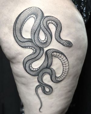 High Detail Fine Line Snake Tattoo done at Hammersmith Tattoo London