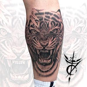 Tiger Black & Grey Realism Tattoo done at Hammersmith Tattoo London