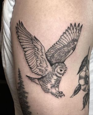 Engraving Owl Tattoo done at Hammersmith Tattoo London