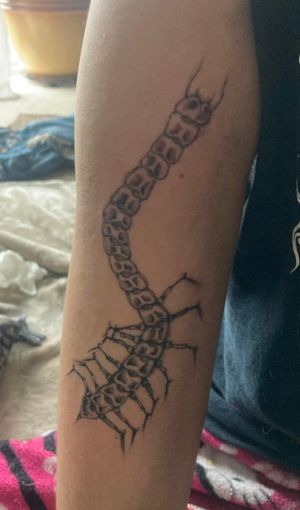 centipede after session 1Done by me 