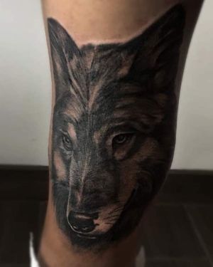 Lobo black and grey 