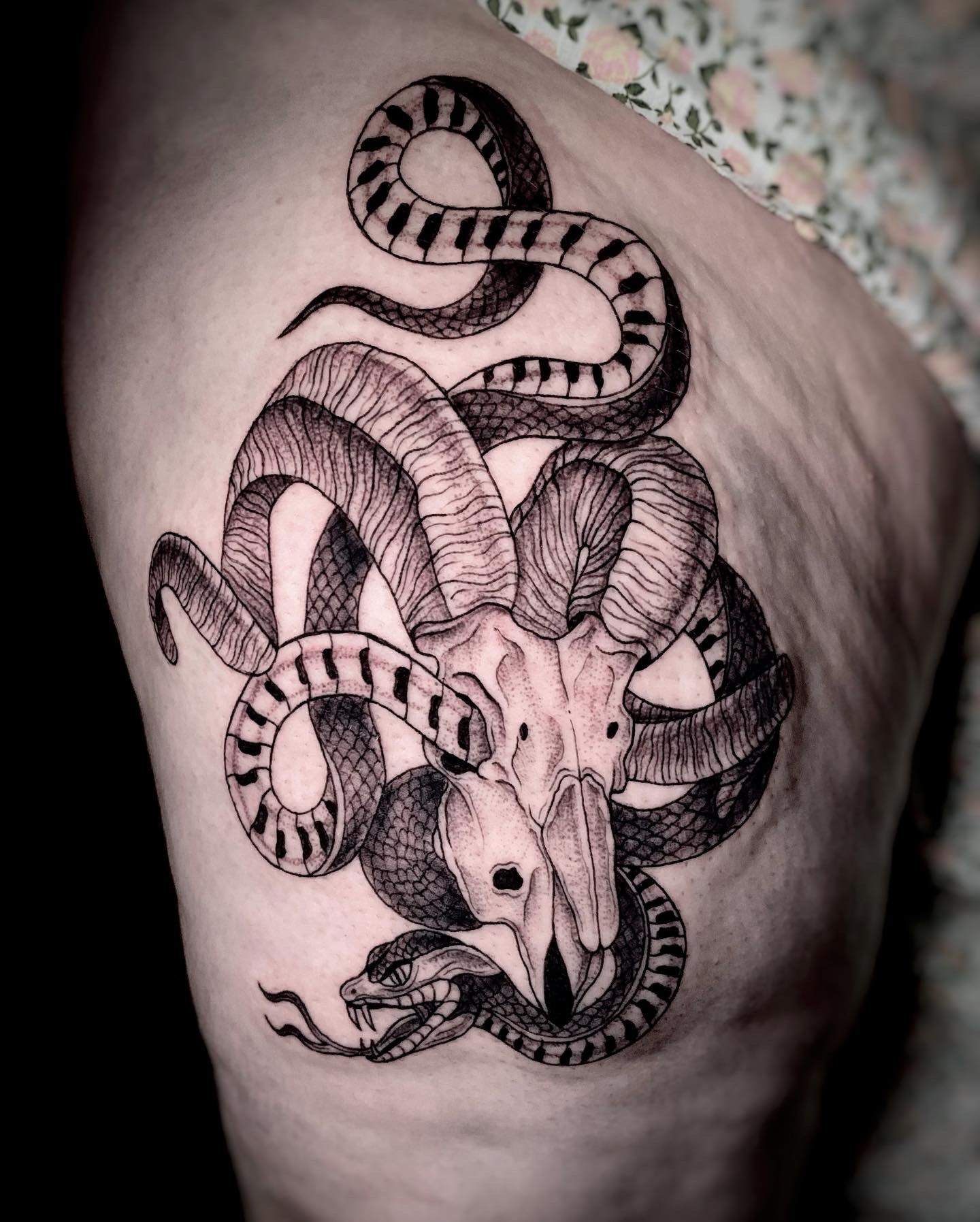 단조 on Instagram: “Goat skull & snake tattoo design” | Bull skull tattoos,  Snake tattoo design, Animal skull tattoos