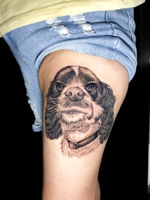 🐶COCKER🐶 trabajo realizo en REALISMO ¡ Gracias por mirar !  #tatuaje	#tattoo	#peru	#lima	#tattoos	#inked	#tatuajes	#ink	#tattooed	#perunecro	#tattooperu	#tattooloverz	#tat	#realistictattoo