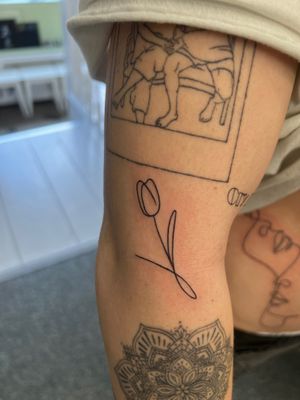 Fine Line Tattoo Amsterdam By Claudia Fedorovici #finelinetattoo #onelinetattoo #tuliptattoo #floraltattoo #finelinetattooartist #claudiafedorovici #ascetictattoo #tattooartistsamsterdam 