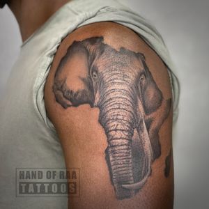 Elegant black and gray elephant tattoo on upper arm, professionally executed by artist Raa.
