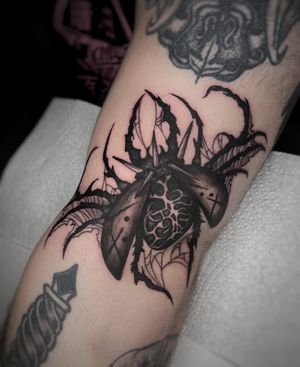 Get a striking black and gray tattoo of a spider, beetle, and spikes by artist Kike Krebs. Perfect for those who love a touch of the eerie and mysterious.