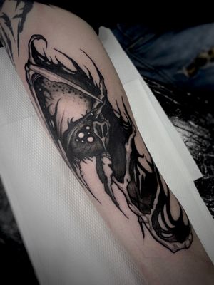 Get a bold and striking blackwork bat tattoo on your arm from the talented artist Kike Krebs. Perfect for fans of dark and edgy designs.