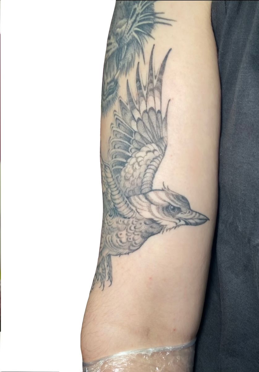 Tattoo uploaded by Shauna Mcdermott • Kookaburra! • Tattoodo