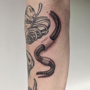 Get a unique black and gray earthworm tattoo in dotwork and hand-poke style by the talented artists at Alien Ink.