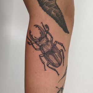 Embrace the dark beauty of blackwork and dotwork in this hand-poked illustrative beetle tattoo by the talented artists at Alien Ink.