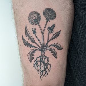 Experience the unique artistry of Alien Ink with this intricate blackwork and dotwork tattoo featuring a delicate botanical dandelion motif.