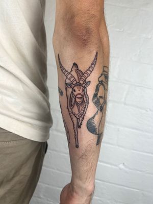 Get a stunning camel with horns tattoo on your forearm by Jack Henry Tattoo. Exquisite fine line work for a unique and elegant look.