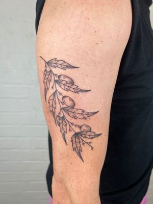 Elegant black and gray floral design by Jack Henry Tattoo showcasing fruit and leaves on the upper arm.