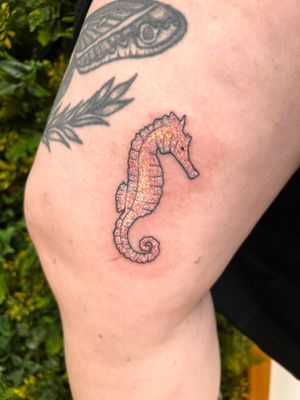 Vibrant new school style seahorse tattoo on upper leg by Rachel Angharad, featuring bold colors and creative design.
