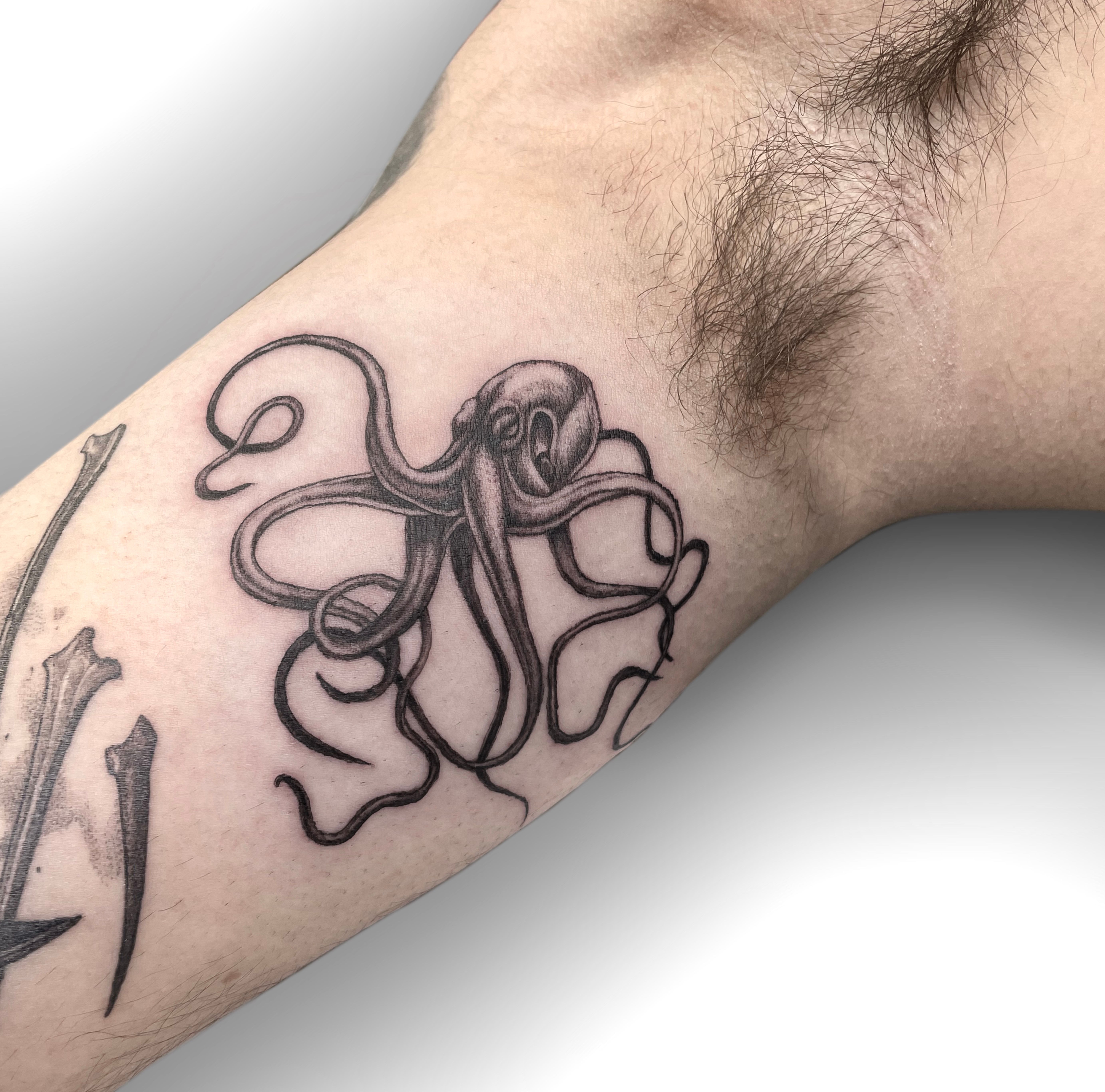 Amazon.com : Large 'Octopus Tentacles' Temporary Tattoo (TO00033750) :  Beauty & Personal Care