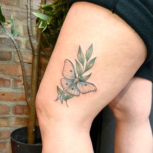 Get a vibrant new school tattoo featuring a beautiful moth and flower design on your upper leg, done by Rachel Angharad.