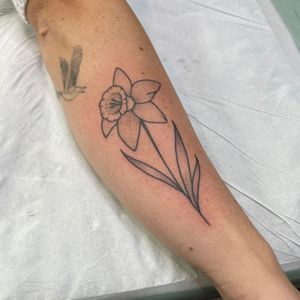 Daffodil tattoo 
