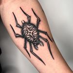 Spider Tattoo