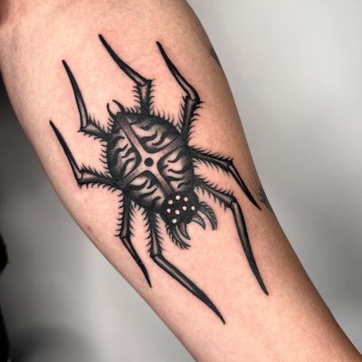 Get tangled in the intricate web of this black and gray dotwork spider tattoo by Claudia Trash on your forearm.