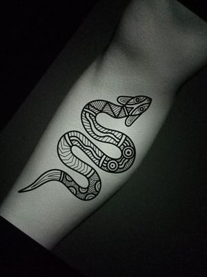 Indigenous snake concept 