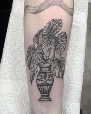 Foliage in vase
