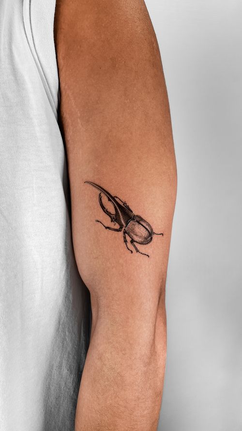 Beetle