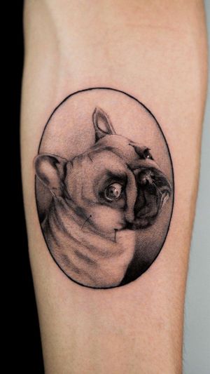 Admire Jacky Yang's micro_realism masterpiece on lower arm featuring a detailed French Bulldog in a delicate dotwork frame.
