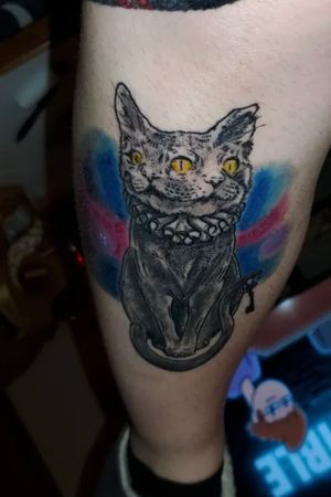 Two headed cat with color 