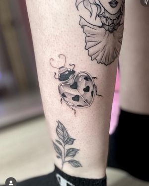 Beautiful black and gray lady bug tattoo by Laura May, expertly capturing intricate details in a tiny design.