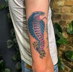 Colour fine line traditional snake 