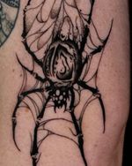 Spider Web Tattoo