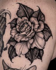 Rose with an Eye