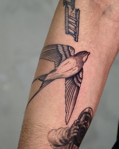 Unique dotwork style illustration of a swallow by talented artist Andrew Garinther, creating a striking and timeless tattoo design.