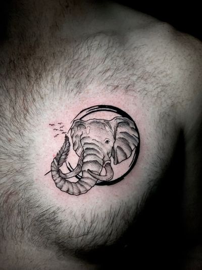 Elephant.