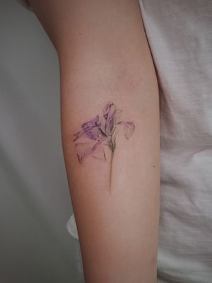Purple Flower tattoo ✅ Color tattoo #fineline #blackandgrey #lack #line #simpletattoo #line #linedrawing #linetattoo #tattooed #tattoodo #blackwork #colortattoo #color #minitattoo #small #tiny #microrealism #realism