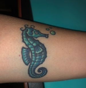 In honor of my dear friend who loved seahorses. 