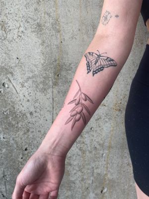 Discover the artistry of Rich Sinner with this stunning micro-realism tattoo featuring an olive tree and olives on the forearm.