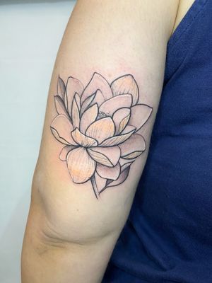 Basic Lotus