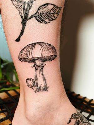 Mushroom illustration- blackwork #mushroom #blackwork 