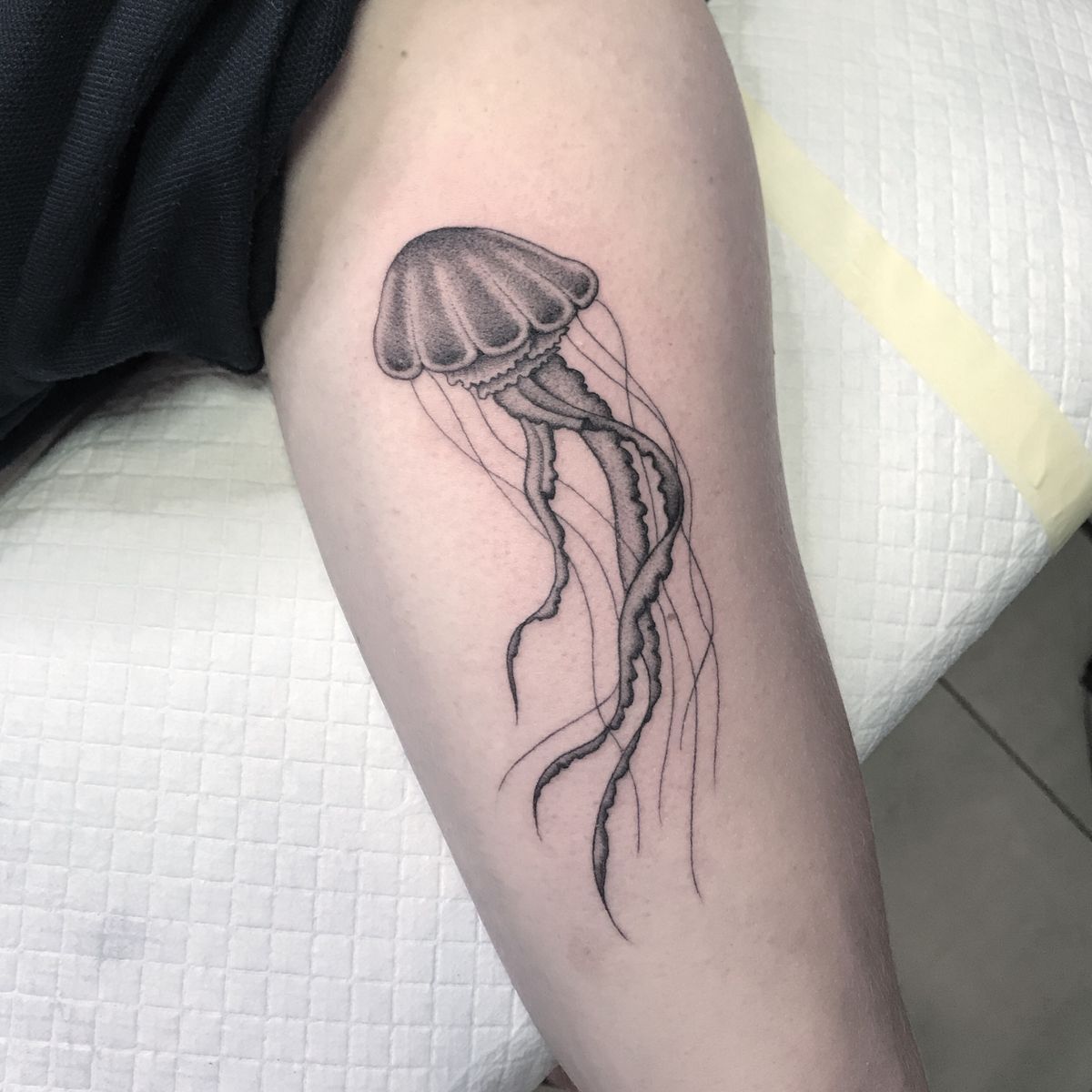 Tattoo uploaded by Luke Smith • Fineline Jellyfish • Tattoodo