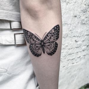 Fineline Butterfly