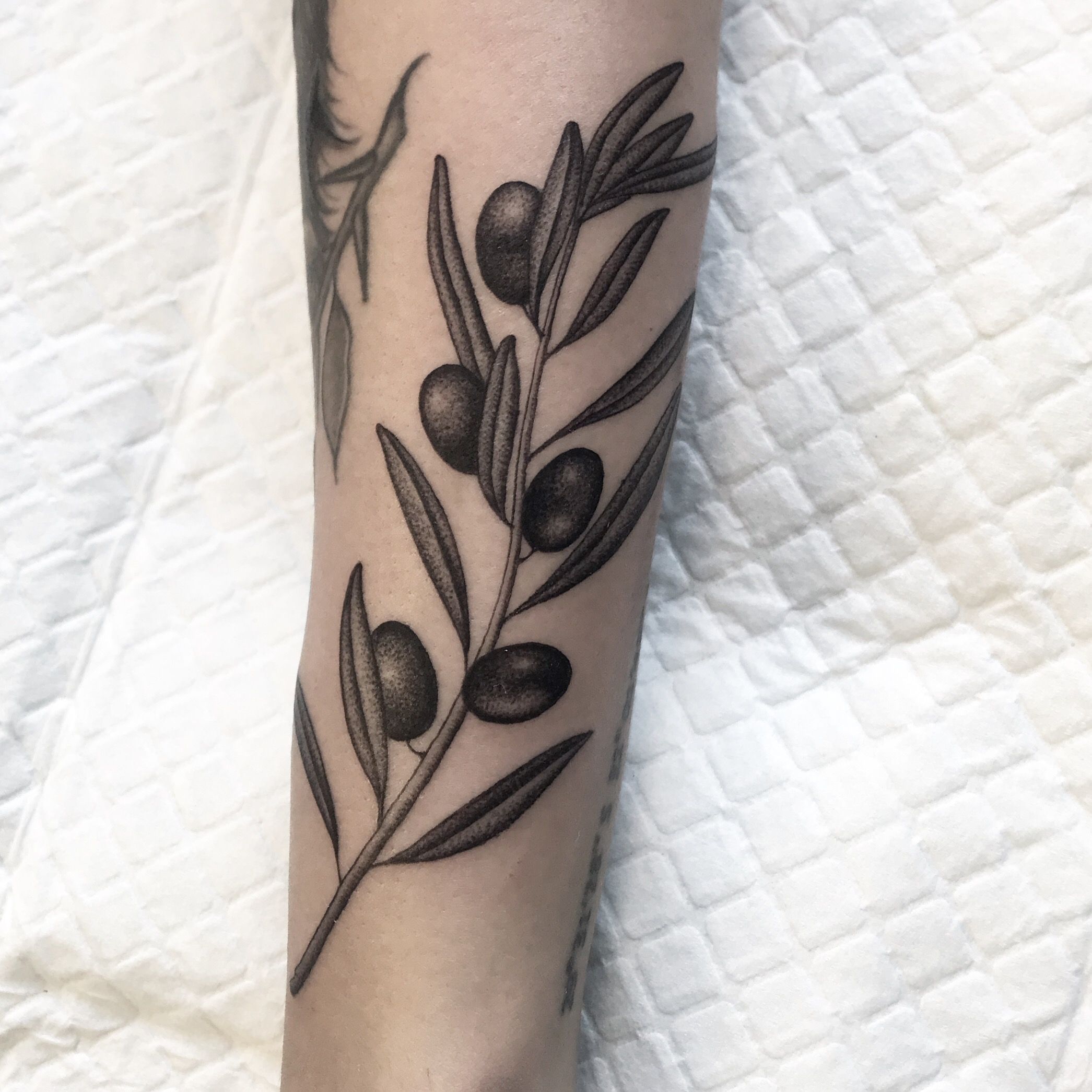 Olive Branch - Olive Branch Temporary Tattoos