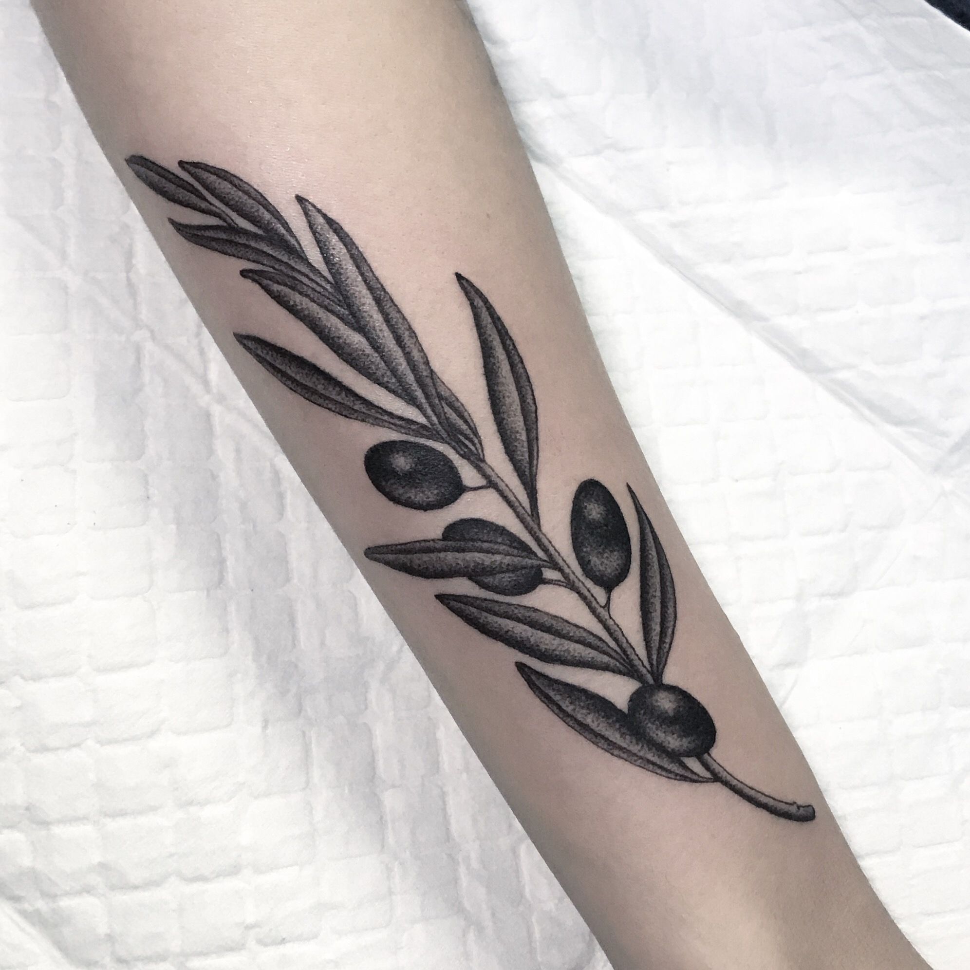 Fine line olive branch! My first tattoo! : r/agedtattoos